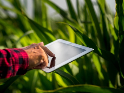 Vantagens da Internet Rural: Conectividade de Qualidade no Campo