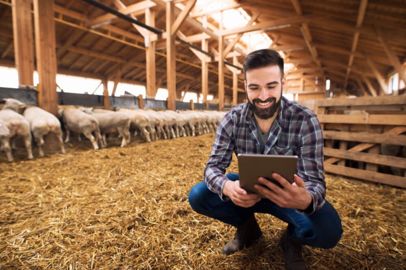 Internet Rural
